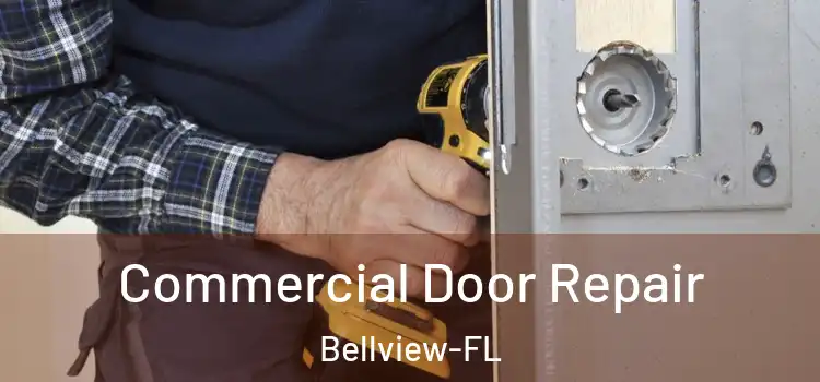  Commercial Door Repair Bellview-FL