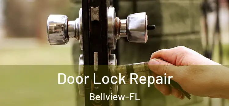 Door Lock Repair Bellview-FL