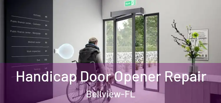  Handicap Door Opener Repair Bellview-FL