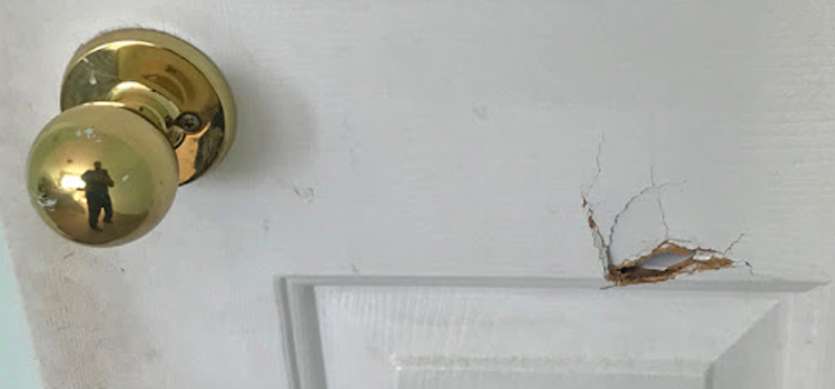 interior door hole repair Bellview