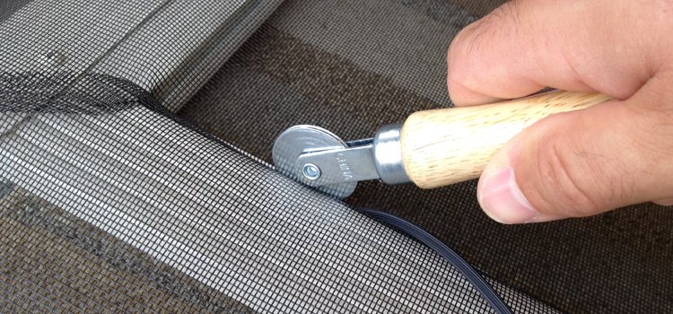 metal screen door repair in Bellview