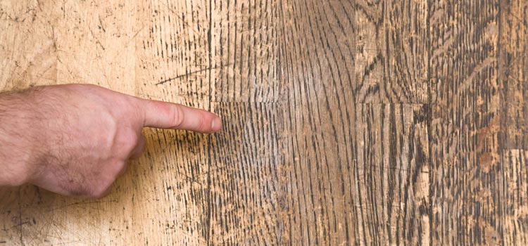 Wood Door Scratch Repair in Bellview