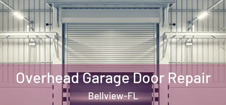  Overhead Garage Door Repair Bellview-FL